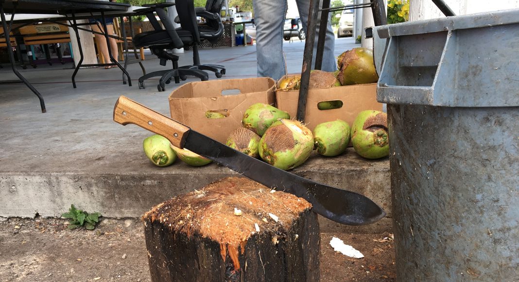 Coconut chopping block