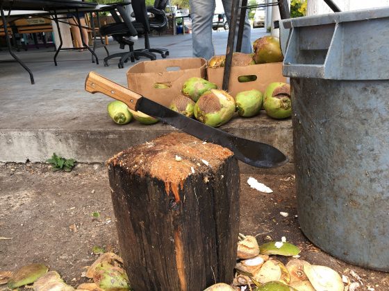 Coconut chopping block