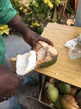 Fresh coconut meat