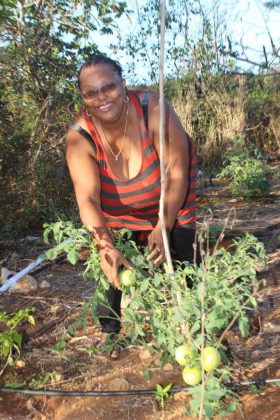 Marilyn Nasirun, One Love Farm, Cayman Farmers' Market