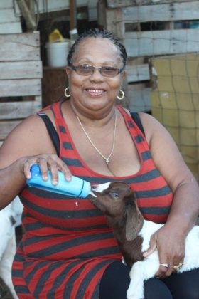 Marilyn Nasirun, One Love Farm, Cayman Farmers' Market