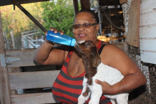 Marilyn Nasirun, One Love Farm, Cayman Farmers' Market