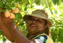 Marilyn Nasirun, One Love Farm, Cayman Farmers' Market