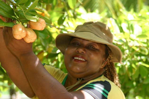 Marilyn Nasirun, One Love Farm, Cayman Farmers' Market