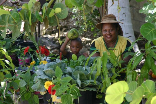 Marilyn Nasirun, One Love Farm, Cayman Farmers' Market