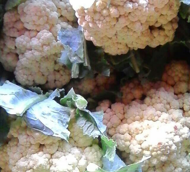 Cauliflower - Sparky's at Cayman Farmers' Market