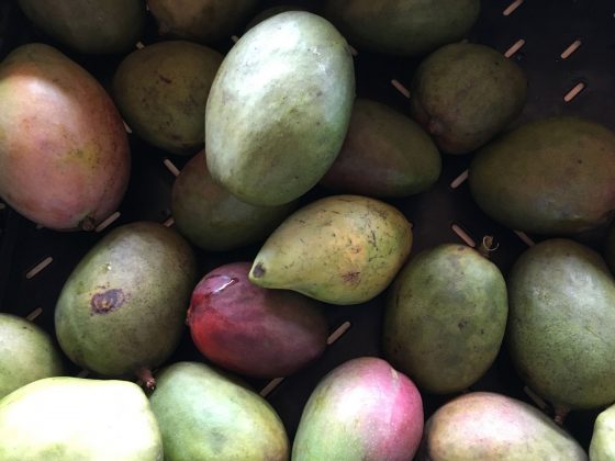 Cayman Mangoes Whittaker's Farm