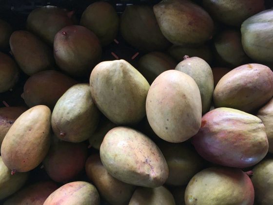 Mangoes from Whittaker's Farm