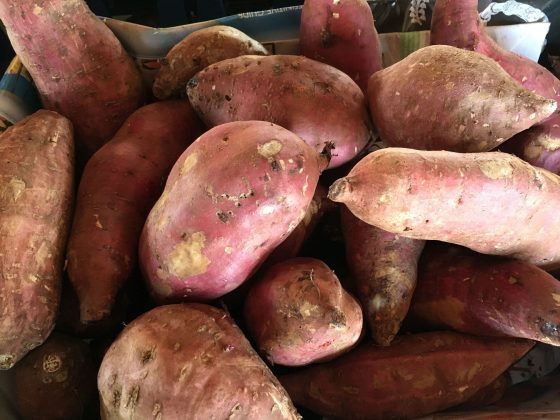 Dorothy's Stand at the Cayman Farmers' Market