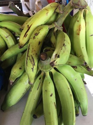 Dorothy's Stand at the Cayman Farmers' Market
