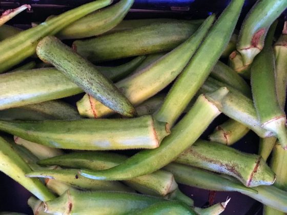 Okra - Sparky's at Cayman Farmers' Market