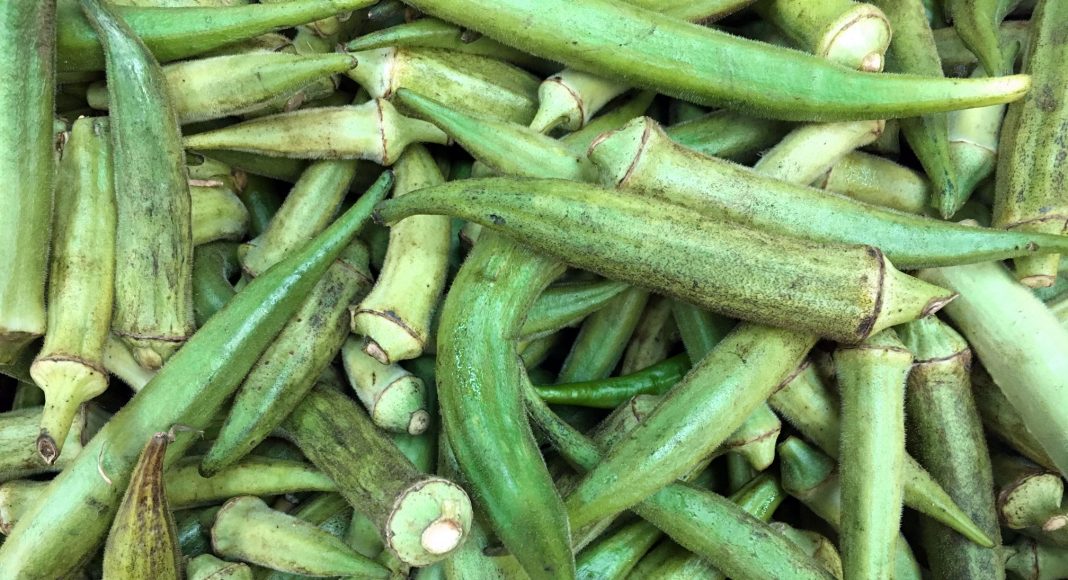 Okra - Sparky's at Cayman Farmers' Market